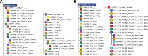 CDD hierarchies used here to create very large MSAs. A. Hierarchy for EEP domains (cd08372). B. Hierarchy for PH domains (cd00900). The subtree is shown for the RanBD family; other (+) nodes may be expanded in a similar manner.