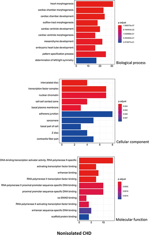 The top 10 significant enriched GO terms for non-isolated CHD. The statistical significance level (p.adjust, adjusted P-value) was depicted as different color. (X-axis indicated number of enriched genes; Y-axis indicated GO terms.)