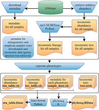 Framework of the GMrepo ML repository construction. Operation steps are indicated in the blue inverse-trapezoids. Files with names in bold are all contained in the repository, and they can be retrieved from the ‘Metagenomics data’ page of the server or from the GitHub.