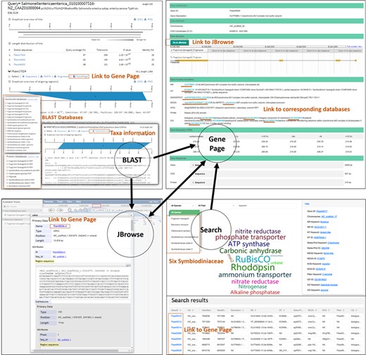 Database organization.