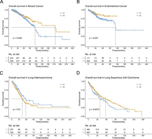 Example for ATdb application. Kaplan–Meier plot for (A) breast cancer (TCGA-BRCA); (B) endometrioid cancer (TCGA-UCEC); (C) lung adenocarcinoma (TCGA-LUAD); (D) lung squamous cell carcinoma (TCGA-LUSC).