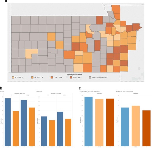 (A) The University of Kansas Cancer Center catchment area counties’ heat map representing the mortality rates of colorectal cancer. Colorectal cancer mortality data was suppressed in 72 counties, all of which had populations <34 000. (B) The University of Kansas Cancer Center catchment area average standard rate capturing the mortality rates of colorectal cancer comparing rural versus urban. (C) The University of Kansas Cancer Center catchment area average standard rate capturing the mortality rates of colorectal cancer comparing African American versus all the other races.