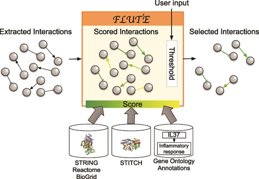 Filtration process with FLUTE: inputs to FLUTE include extracted interactions, scores of these interactions that are found in databases, and the user’s selection of thresholds for the scores. Outputs from FLUTE include selected interactions determined by their scores and thresholds.