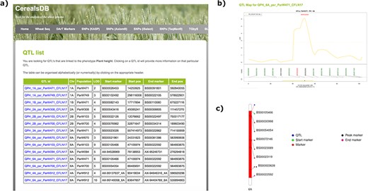 Searching the QTL database for a particular phenotype generates a table (a) displaying all QTLs for that phenotype along with chromosomal positions, population information and LOD scores. Clicking on an individual QTL links to QTL maps (b) where markers are shown at the start and end of the confidence interval of the QTL along with the peak marker. An ideogram of the chromosome (c) is also displayed where available showing the QTL highlighted in red and the chromosomal position of important markers are also highlighted.