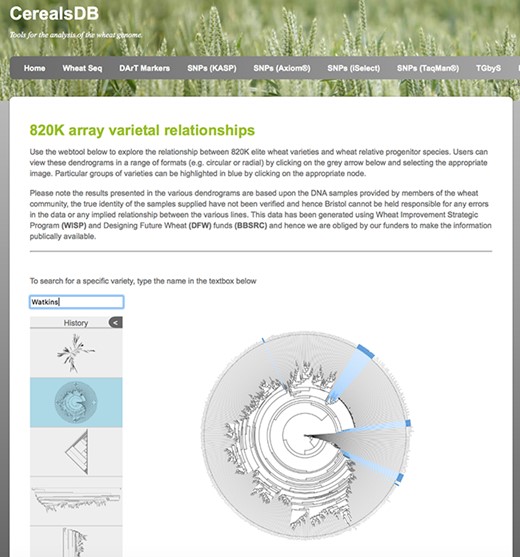 A circular dendrogram rendered using phylocanvas shows Watkins lines highlighted in blue. Users can view relationships between wheat varieties genotyped on both the 820K and 35K arrays and display the data in a number of different styles of dendrogram.