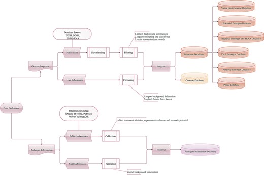 Workflow of the data integration processes. Genetic sequence and pathogen information are imported from two main sources: public resources and users.