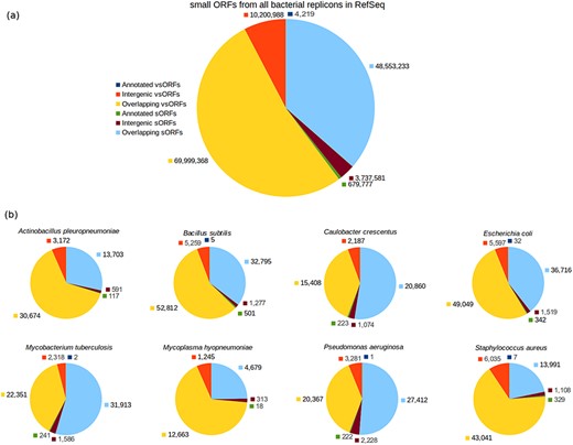 Category breakdown of small ORFs. (a) The whole set of small ORFs obtained for all bacteria in RefSeq. (b) Small ORFs of the eight bacteria that we used in our experiments.