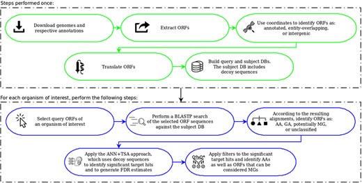 OCCAM pipeline. In green are the steps to be performed only once for a given version of genomes and respective annotations. In blue are the steps to be executed for each organism of interest.