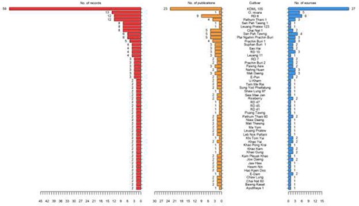 List of Thai rice cultivars in ThRSDB. The numbers of records (red), publications (yellow) and sources (blue) for each cultivar are illustrated. The cultivars with only one record are provided in Supplementary Table S1.