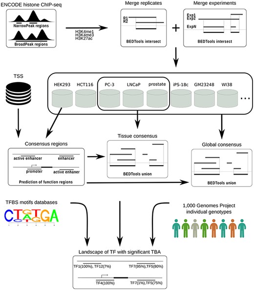 CONREL workflow to generate consensus regions and TBAs annotations.