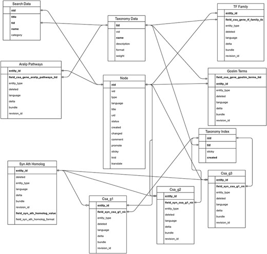 Entity relationship diagram of the main tables used in the backend of CamRegBase 1.0.