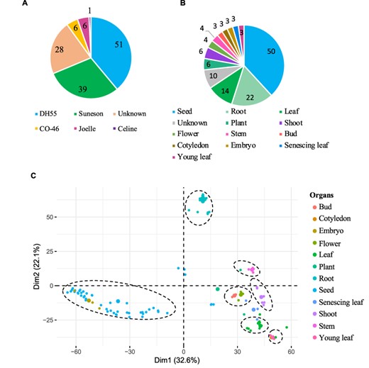 Gene expression data hosted on CamRegBase 1.0. Summary of expression data available on CamRegBase at the level of (A) Camelina varieties and (B) organ-specific samples. (C) PCA of the Camelina transcriptome using log2TPMs. Dotted ovals indicate major groups of samples identify by visual inspection of the PCA results.