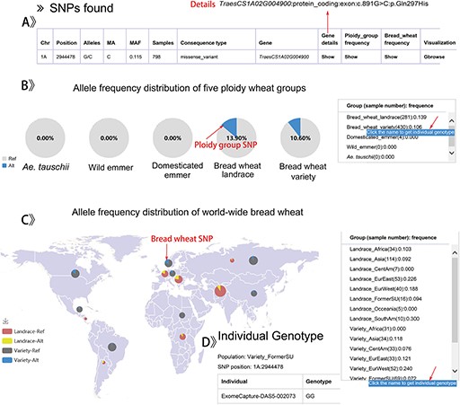 The result display by searching a SNP data for example.