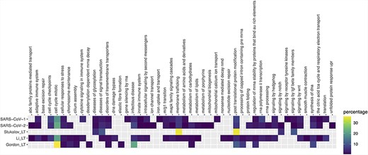 Pathway enrichment analysis of SARS-CoV-1, SARS-CoV-2 and Gordon_LT (Gordon plus low throughput), Li_LT (Li plus low throughput) and Stukalov_LT (Stukalov plus low throughput) datasets. Enrichment was performed using pathDIP (a database integrating 24 different pathway databases). Only human proteins were considered. The majority of enriched pathways were from Reactome database, so a mapping of each Reactome pathway to the parent pathway ontology was performed, and the heat map shows the percentage of pathways in each parent pathway over the total of pathways.