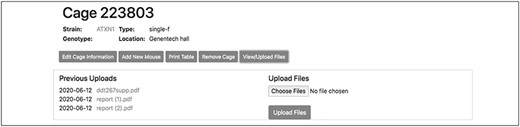 This single cage interface allows attaching valuable metadata that are associated with the animals in the cage. They can include the genotyping results of a specific transgenic line, the vendor’s documentation for founder mice or the cryopreservation details.