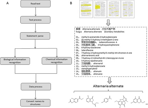 The design of the text-mining system. (A) Flow process of the data text-mining system. (B) Demonstration of the procedure for data acquisition.
