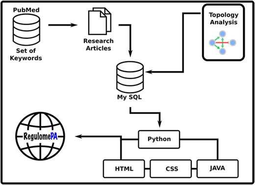 Schema of the RegulomePA database.