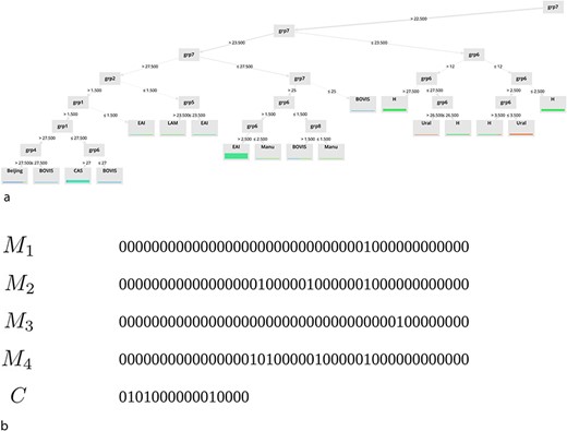 Examples of extracted models for (a) DT and (b) binary masks.