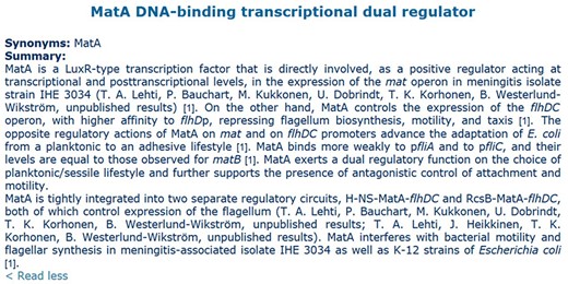 Manual summary of MatA from RegulonDB. Numbers in brackets are citations for the articles employed to elaborate the summary.
