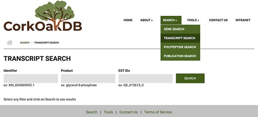 View of Transcript Search page in CorkOakDB.