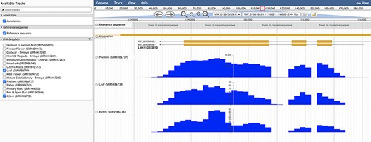Genome browser view of LOC112033310 structural annotation. RNA-seq data from three different tissues were selected to showcase exon coverage.