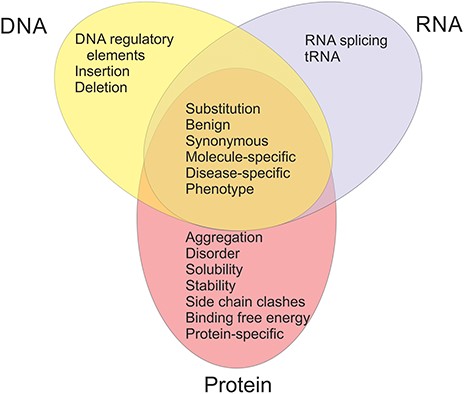 Types of benchmark datasets and their relations in VariBench.