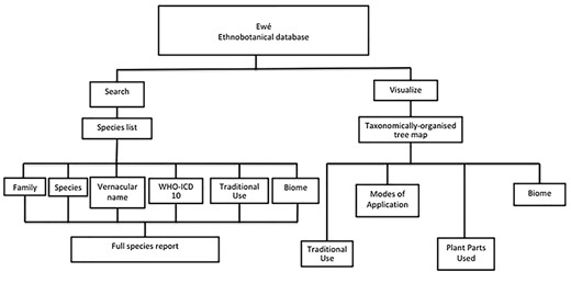 Organization of the Ewé database. The Ewé database has two functions: the search function and the visualize function. The search function queries a species list. Results can be organized according to any of the content elements (categories) or a full use report can be generated, including information on plant parts used, modes of application and the reference/source for that report. The visualize query provides visual information for sets of ethnomedicinally used species according to taxonomic rank (family, genus or species), including interactive histograms of traditional use, modes of application, plant parts used and biomes.