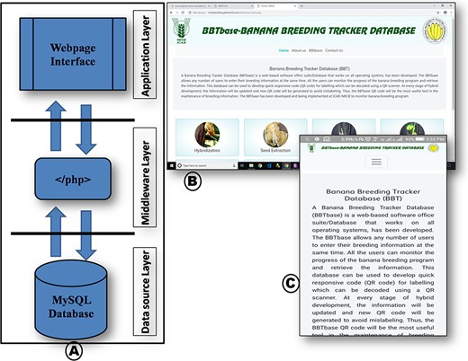 (A) Database architecture and schema, (B) RWD database in computer chrome browser and (C) smartphone chrome browser.