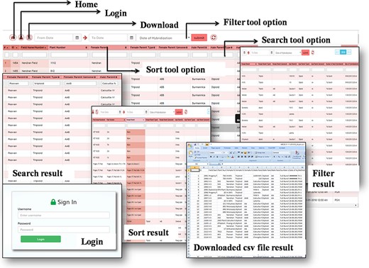 Search, sort, filter and login and download tool options in the BBT and their outcome. The user can access their data by using (A) filter, (B) sort, (C) search and (D) browsing options. Pop-ups showing some examples of (J) filtered, (H) searched, (L) sorted data and (K) downloaded data as csv file. The obtained result can be downloaded by (G) save file option.