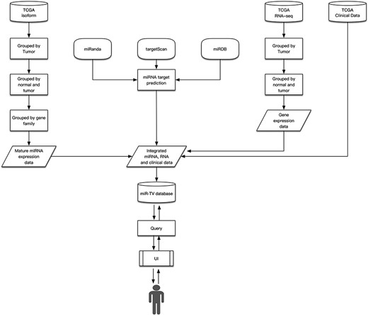 Design schema of miR-TV.