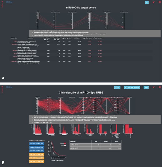 Specific-overview miRNA–target gene interface of miR-TV. (A) Users can enter the miRNA target gene interrogation interface by clicking either the green colored ‘Predicted mRNA Targets’ button or the @Targets black side menu bar. Multiple features of miRNA/mRNA expression and target prediction scores are displayed and can be easily filtered according to the user’s criteria by clicking and dragging the mouse to make a selection. Lines connect all information for any given target gene, and by moving the mouse over any given gene symbol, users can view the connected information, which is highlighted by a bold line. Additional prediction information is displayed by clicking the targetScan score and miRanda Tot score links; (B) by clicking on any target gene, users can enter the specific-overview interface for individual target gene interrogation. In this interface, users can further interrogate clinical information and miRNA/mRNA expression information by clicking the green colored ‘Clinical Information on Target mRNA’ button. Users can select different miRNA and mRNA expression groups to interrogate the expression relationship of miRNA–mRNA gene pairs. In addition, different clinical information features can be freely interrogated by clicking and dragging the mouse to make a selection. Preset buttons on the lower left panel can be used to examine the inverse relationship between the miRNA and target mRNA. The Kaplan–Meier survival curve plot and expression information is then displayed to dynamically reflect the user’s changes. The survival graph and detailed expression information can also be retrieved by using the download button on the top panel.