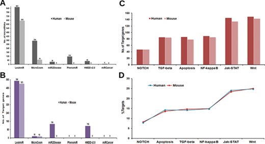 Contents of ‘LeukmiR’. Total number of (A) ALL miRNAs and (B) target genes for both human and mouse in LeukmiR compared to MirCosm, miR2Disease, PhenomiR, HMDD v2.0 and miRCancer databases. (C) Total number of microRNA targets with respect to different pathways. (D) Percentage of the same available in different signaling pathways.