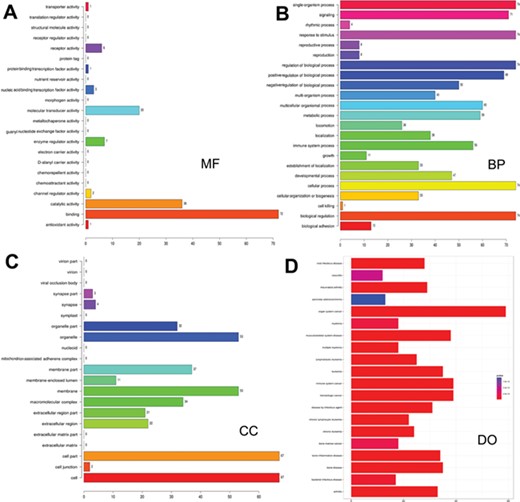 Gene ontology and disease ontology of miRNA targets in various signaling pathways. The gene ontology of targets represented in terms of their associated (A) molecular function (MF), (B) biological process (BP), (C) cellular component (CC) and (D) disease ontology of target genes.