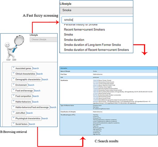 Demonstration of retrieval function. A: fast fuzzy screening (taking ‘smoke’ as an example); B: browsing retrieval; C: search results.