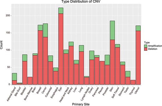 Distribution of CNVs among cancer types. Bar height indicates the number of genes with CNV in the primary site. Amplification = amplified regions. Deletion = deleted regions.