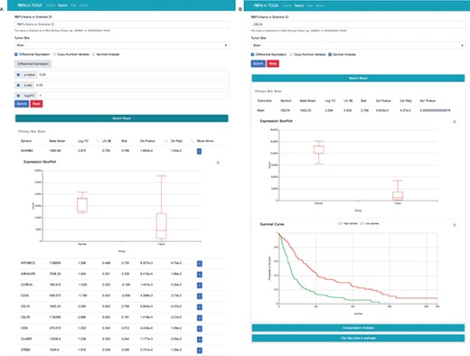 RBP result interface with two search modes. (A) Search the database according to tumour site, P value, p-adj and/or log2FC. (B) Search the database according to the name of RBP and cancer type. To get more details, users can click the “+” button.