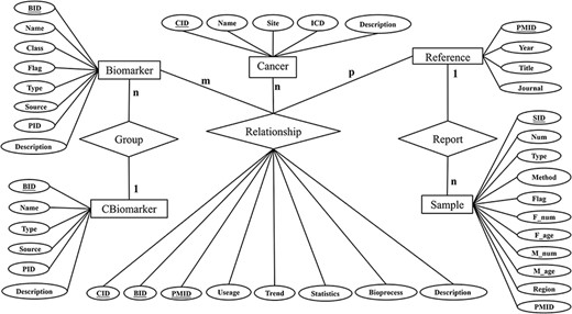 Entity-Relation diagram.