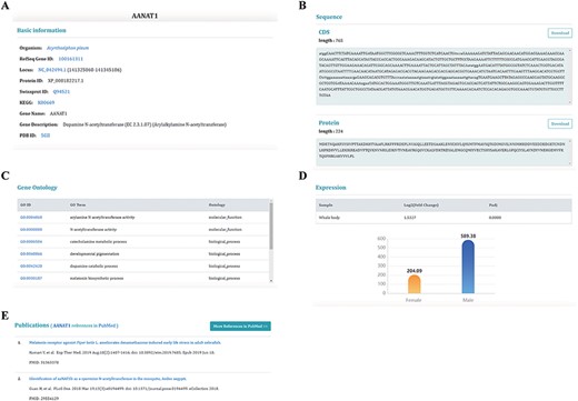 Information on sex-biased genes. (A) Basic genetic information. (B) CDS and protein sequences. (C) The Gene Ontology information of this gene. (D) The expression of sex-biased genes. (E) Publications relating to this gene.
