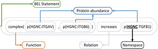 Example of BEL statement.
