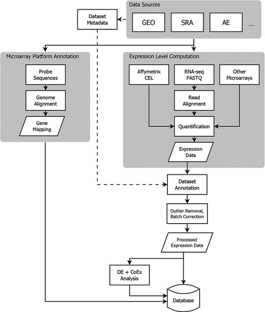 Flowchart showing the flow of data from NCBI GEO into the Gemma database. Three classes of information are processed: platform metadata, gene expression data and metadata. While microarray data reside on GEO, raw RNA-sequencing (RNA-seq) data are obtained from NCBI Sequence Read Archive (SRA). AE: ArrayExpress, DE: differential expression, and CoEx: co-expression.