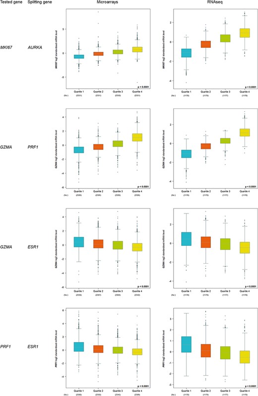 Customized expression analysis results of four demonstrative gene pairs (tested gene, splitting gene/quartile criterion): (MKI67, AURKA); (GZMA, PRF1); (GZMA, ESR1) and (PRF1, ESR1).