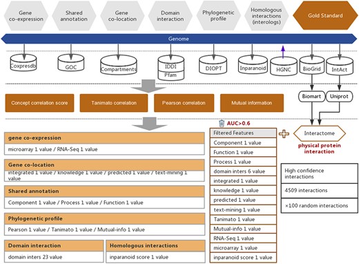 Workflow of the functional interaction prediction between human genes. High-quality experimentally reported protein interactions were integrated from two databases and were used as positive examples. Six types of functional association evidence from seven databases were collected to infer putative functional interactions. A total of 18 high-quality feature values were selected from 36 feature values that characterize this evidence with different mathematical representations. Random gene pairs with all positive examples removed were used as negative examples. The number of negative examples was 100 times the number of positive examples.