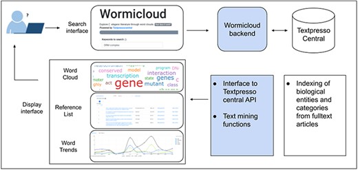 Wormicloud components and interactions with Textpresso Central through the Textpresso API.