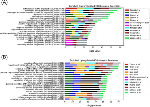 Top 20 enriched GO Biological Processes terms for the 12 in vitro SARS-CoV-2 drug screens. Enriched terms are ranked by the sum of the −log(P-value) of the term across all screens. The enriched terms are applied to the consensus downregulated (A) and upregulated (B) genes for each drug in each set based on the data provided from L1000FWD (29).