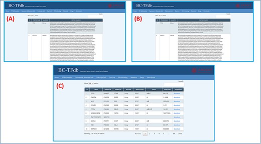 Representation of the Sequence and structural information tab. (A) shows the tutorial image for accessing the gene sequence information of TFs. (B) shows the tutorial image of accessing the protein sequence information of TFs. (C) shows the tutorial image of accessing the protein structural information of TFs.