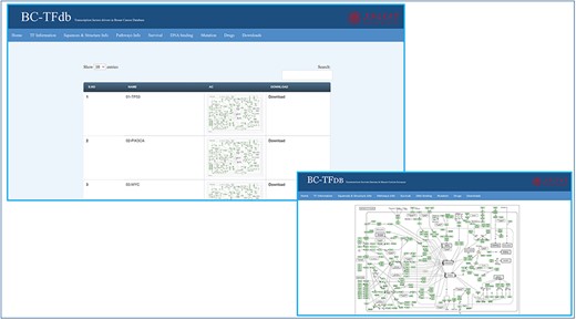 Representative tutorial image of the Pathway information tab upon online access. The bottom panel views a sample pathway of TP53.