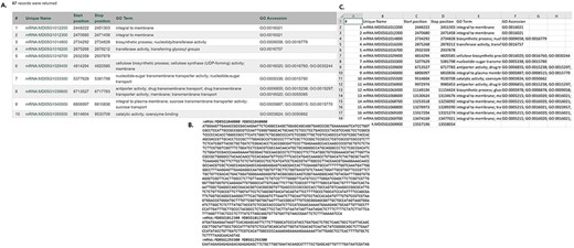 Examples of result table and downloaded files from MegaSearch (A). A result table with the chosen data fields is displayed with hyperlinks to appropriate pages such as JBrowse and gene/transcript page (B). A downloaded FASTA file for the data types with sequences, such as gene/transcript and marker (C). A CSV file that with the chosen data fields.