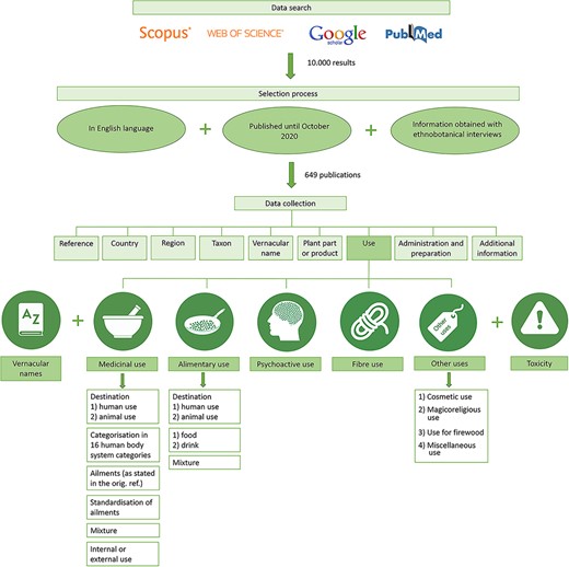 Workflow of the data search, selection process and data collection for the CANNUSE database construction.