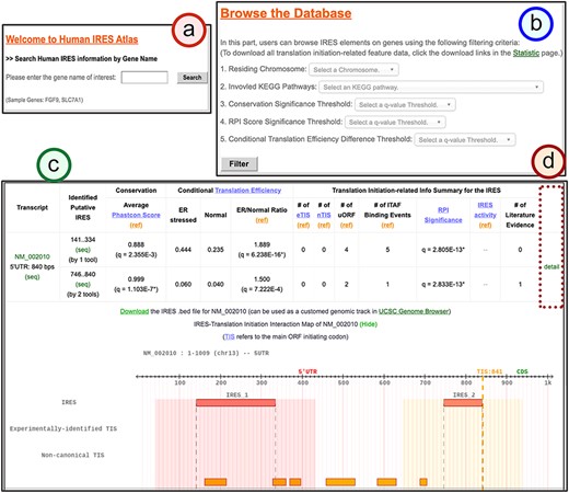 The search result page for the identified IRESs of a given gene.