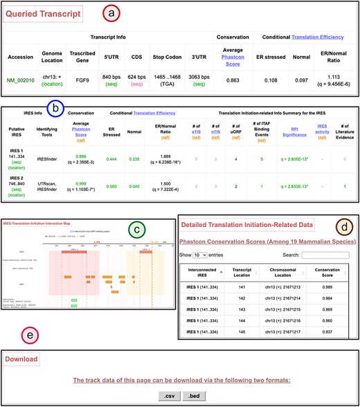 The transcript detail page showing the potential IRES-driven translation regulatory program of the given transcript.